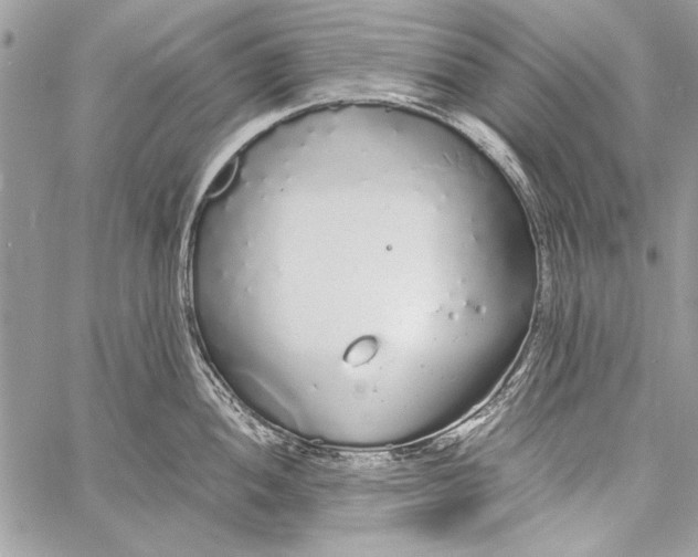 X0000058111052200510171239