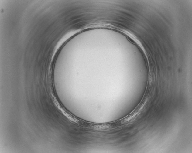 X0000058111053200510171239