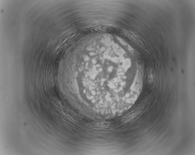 X0000058111060200510171238