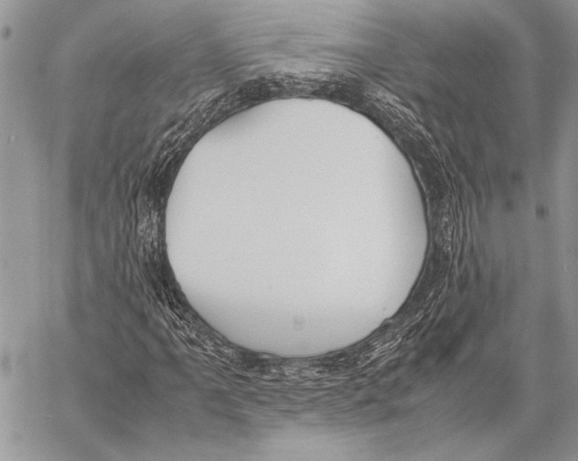 X0000058111061200510171238