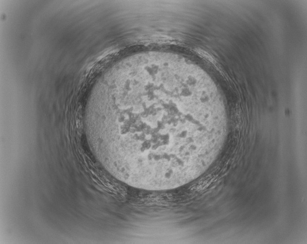 X0000058111063200510171238