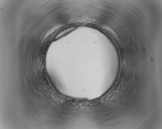 X0000058111064200510171238