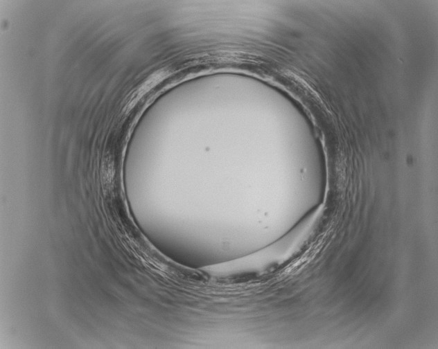 X0000058111065200510171238