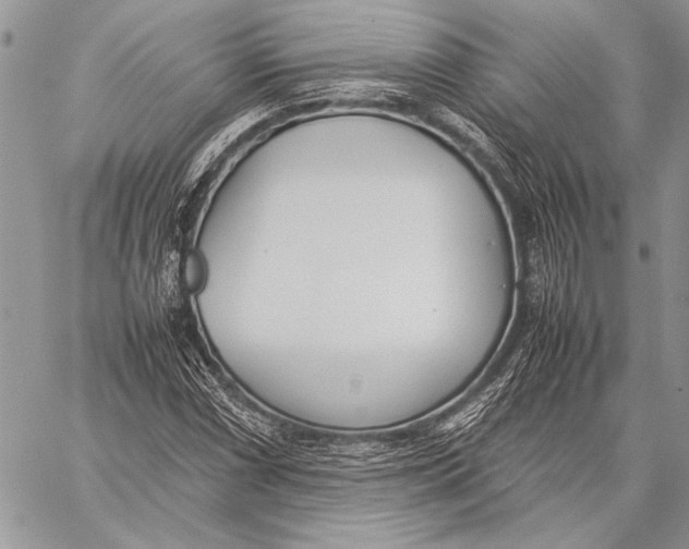 X0000058111066200510171238