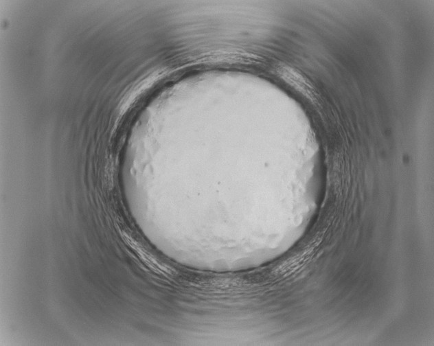 X0000058111067200510171238