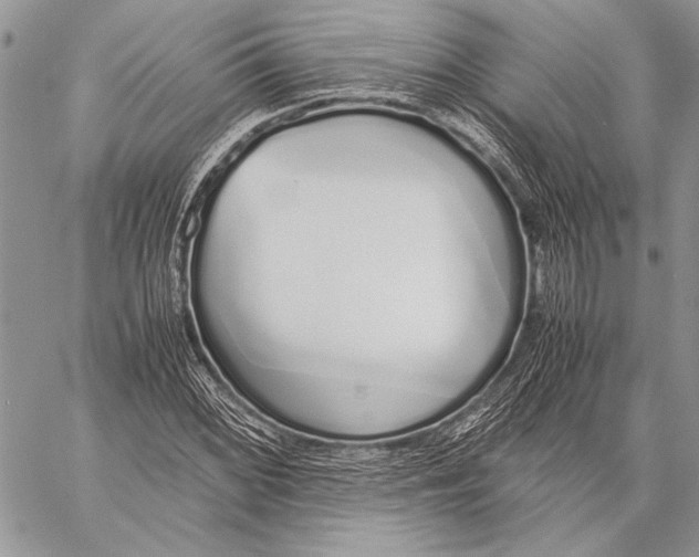 X0000058111068200510171238