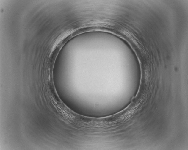 X0000058111069200510171238