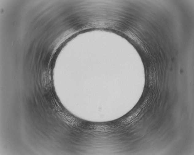 X0000058111070200510171238