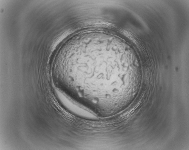 X0000058111071200510171238