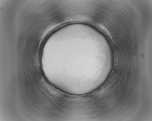 X0000058111072200510171238