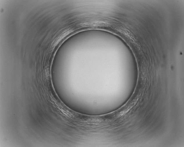 X0000058111073200510171238