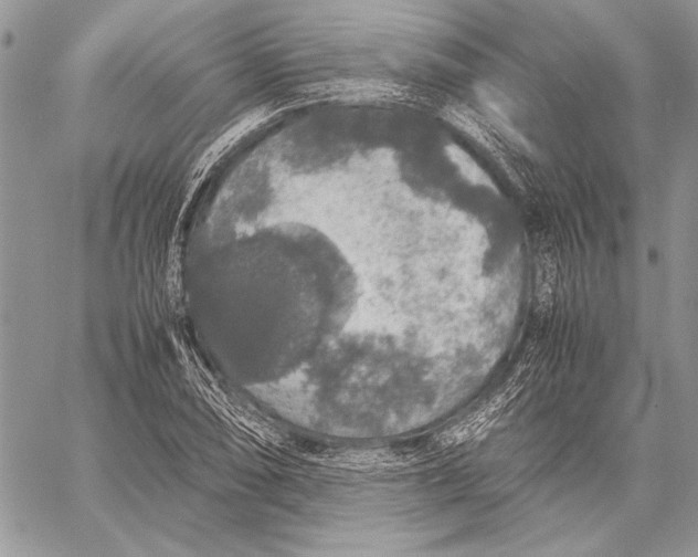 X0000058111074200510171238