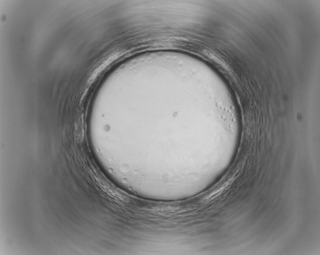 X0000058111075200510171238