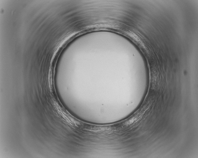 X0000058111076200510171238