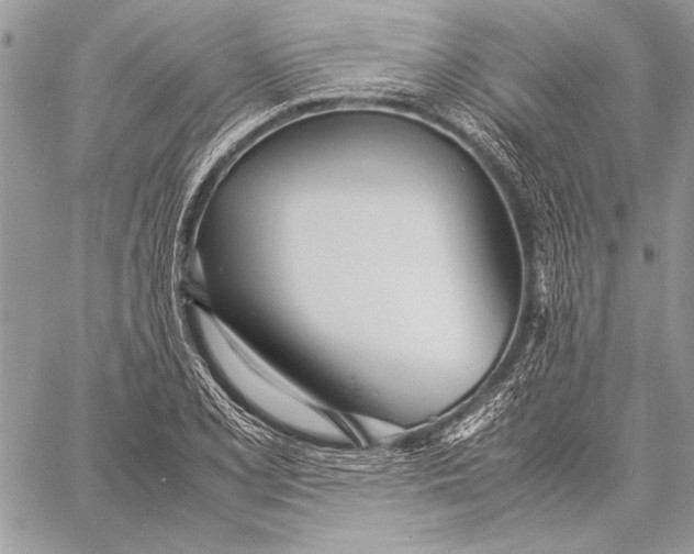 X0000058111077200510171238