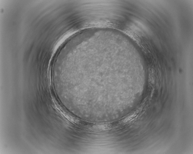 X0000058111078200510171238