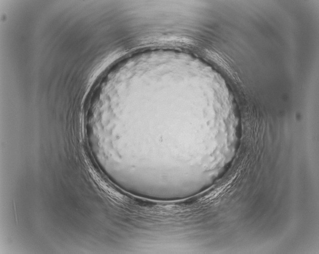 X0000058111079200510171238