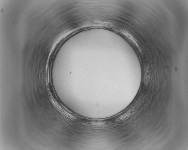 X0000058111080200510171238