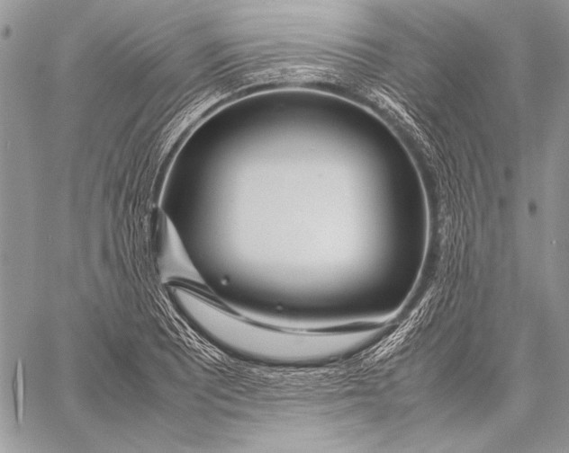 X0000058111081200510171238