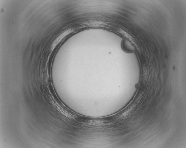 X0000058111082200510171238