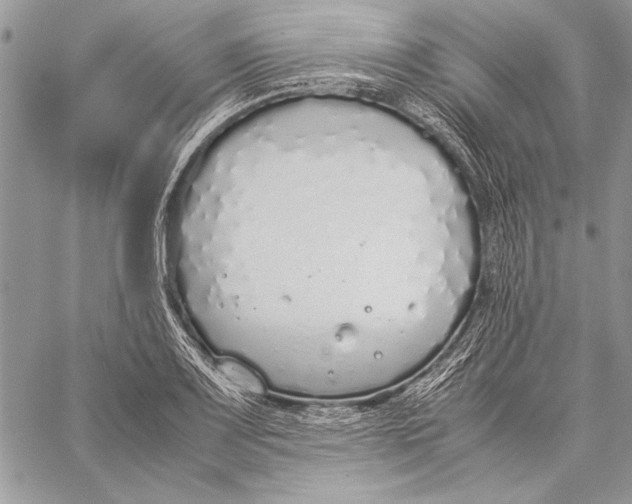 X0000058111083200510171238