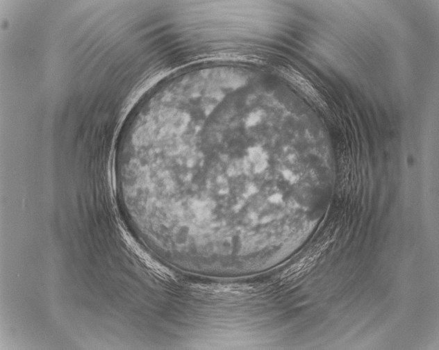 X0000058111084200510171238