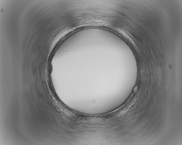 X0000058111085200510171238