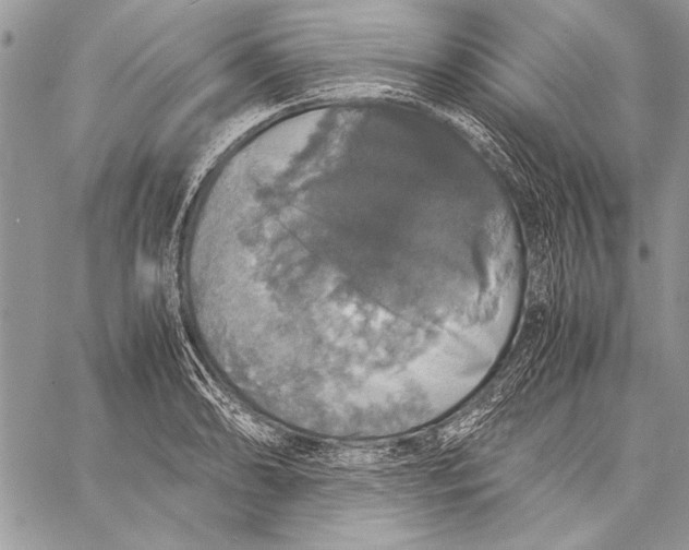 X0000058111086200510171238