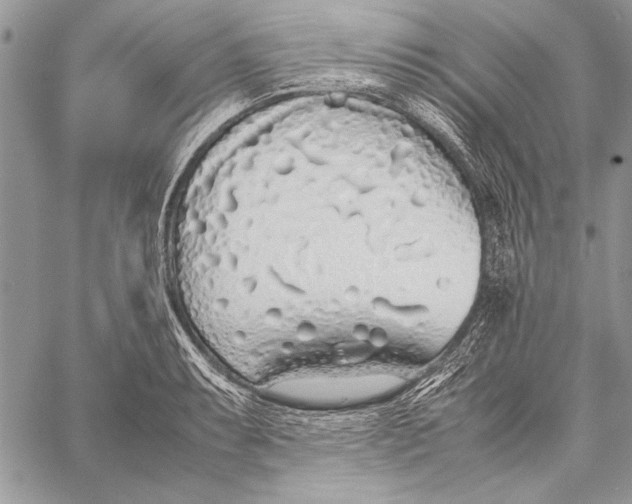 X0000058111087200510171238