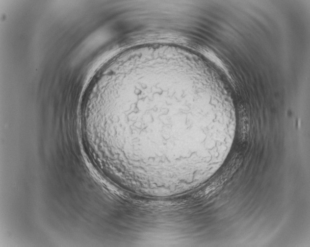 X0000058111088200510171238