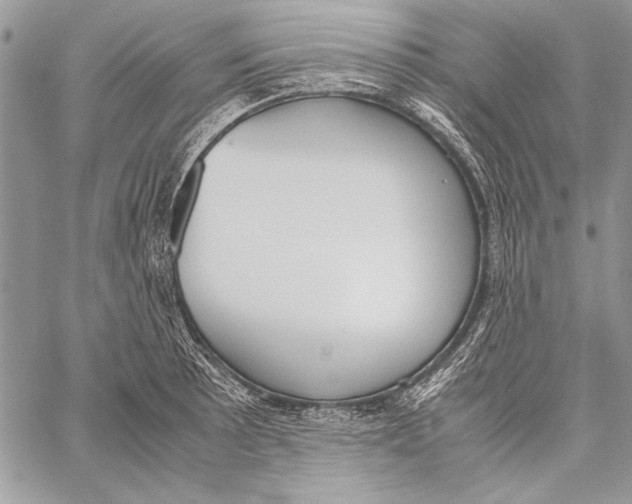 X0000058111089200510171238