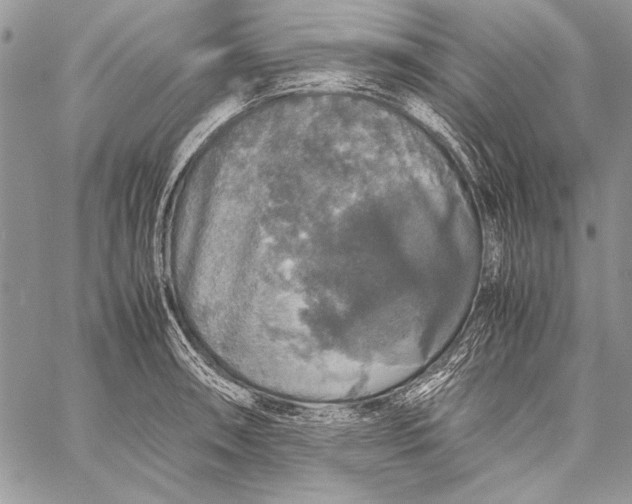 X0000058111090200510171238