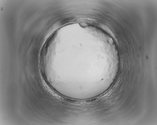 X0000058111091200510171238