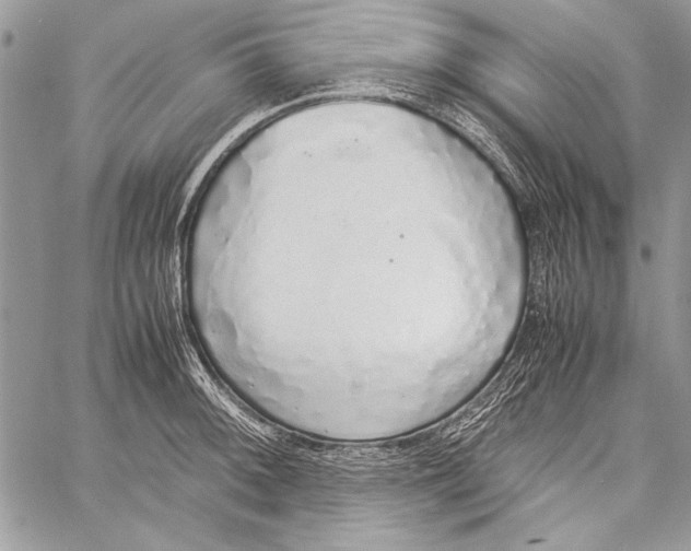 X0000058111092200510171238