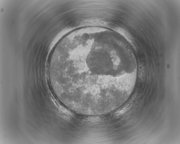 X0000058111094200510171238