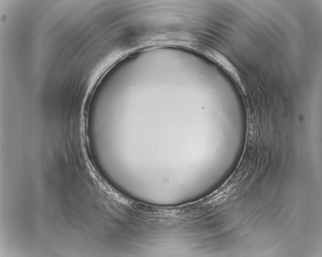 X0000058111096200510171238