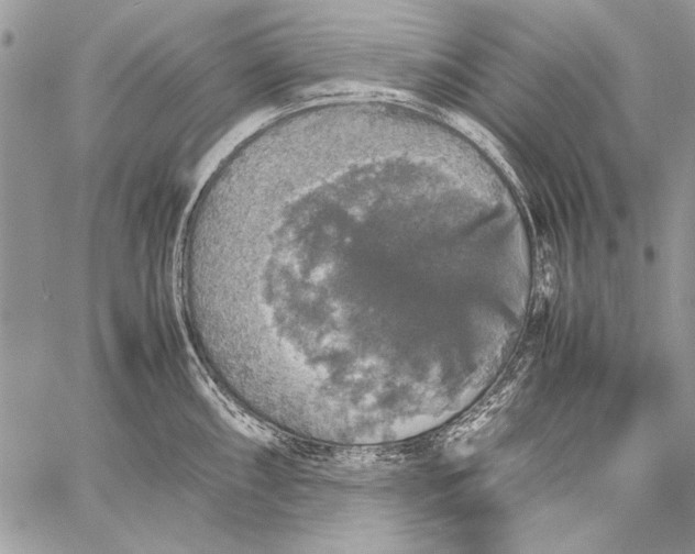 X0000058111098200510171238