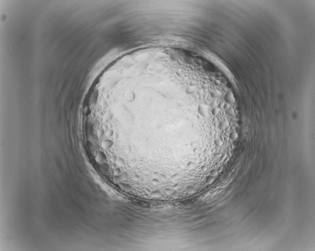 X0000058111099200510171238