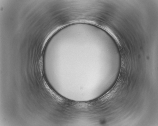 X0000058111100200510171238