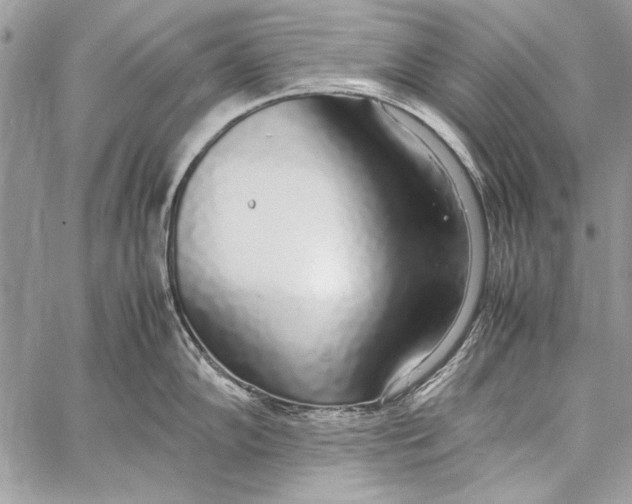 X0000058111102200510171238