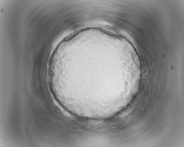 X0000058111103200510171238