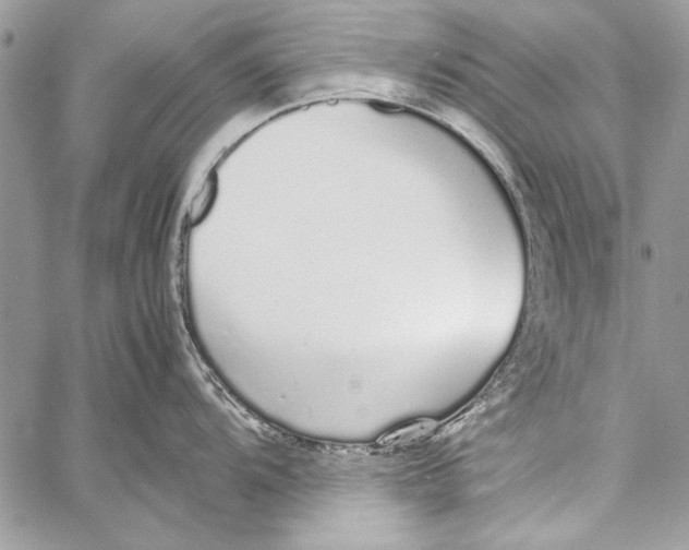 X0000058111104200510171238