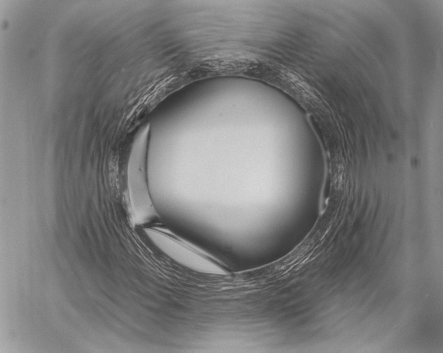 X0000058111108200510171237