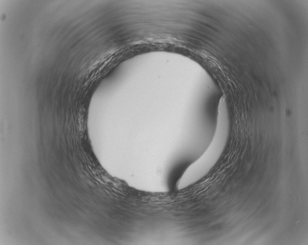 X0000058111110200510171237