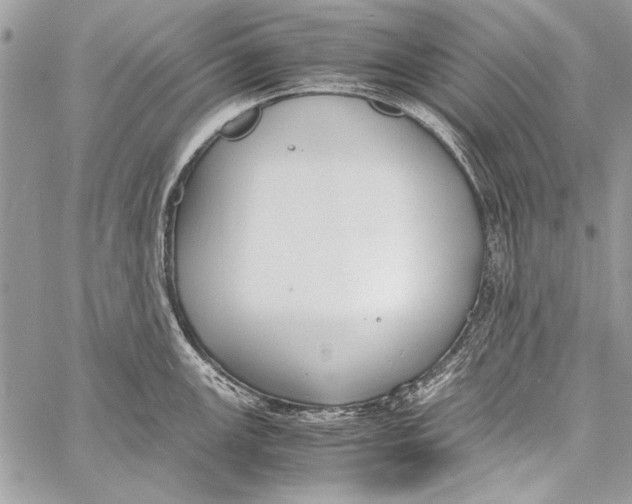 X0000058111147200510171238