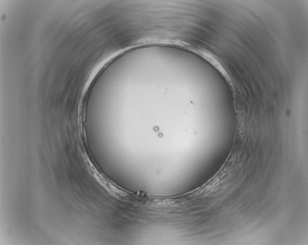 X0000058111148200510171238