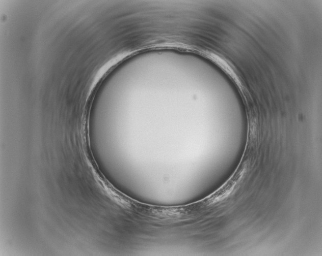 X0000058111149200510171238