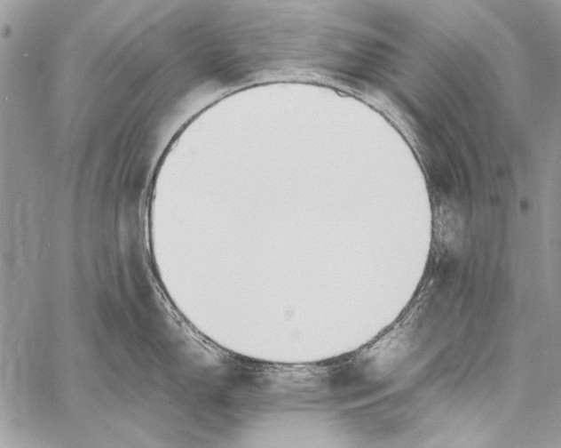 X0000058111150200510171238