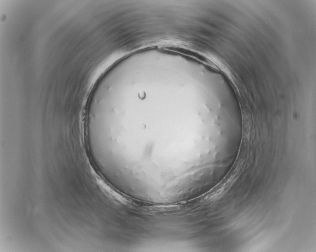 X0000058111151200510171238