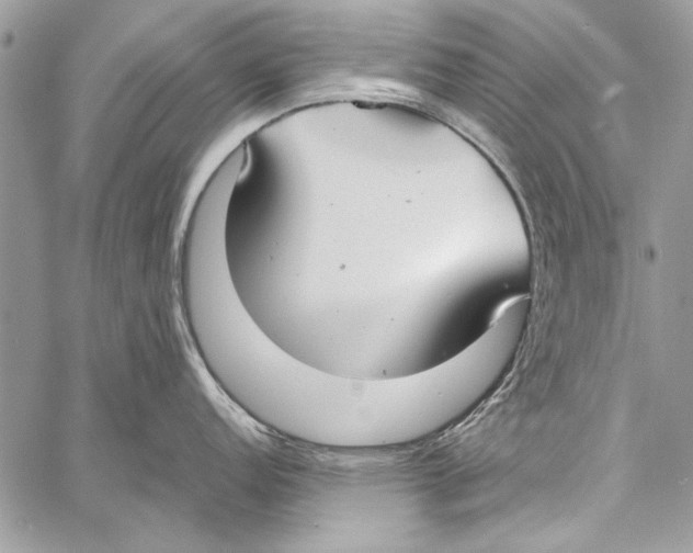 X0000058111152200510171238